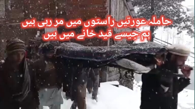 وادی نیلم، حاملہ خاتون کی موت وجوہات کیا ہیں