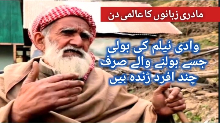 وادی نیلم، کنڈلشاہی بولی جسے بولنے والے چند افراد ہی ژندہ ہیں