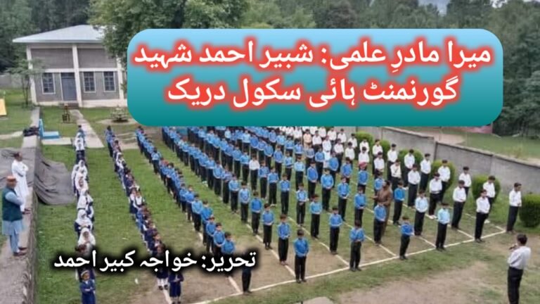 میرا مادرِ علمی: شبیر احمد شہید گورنمنٹ ہائی سکول دریک